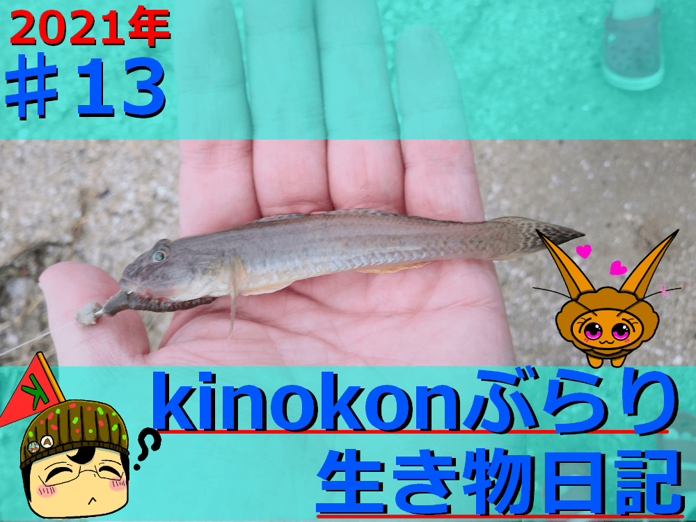 Thumbnail of post image 174